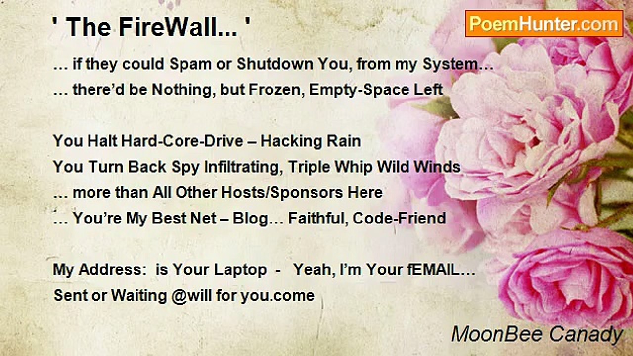 MoonBee Canady - ' The FireWall... '
