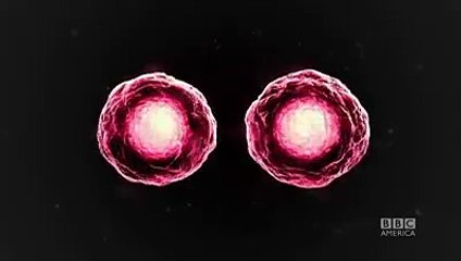 Orphan Black - Saison 3 - Teaser