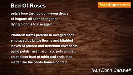 Ivan Donn Carswell - Bed Of Roses