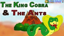 Moral Story- The King Cobra & The Ants