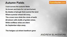 ANDREW BLAKEMORE - Autumn Fields