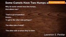 Lawrence S. Pertillar - Some Camels Have Two Humps and Others One