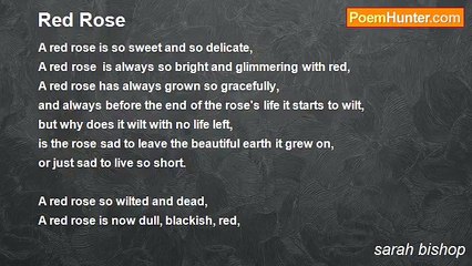 sarah bishop - Red Rose