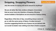 Chris G. Vaillancourt - Snipping, Snapping Flowers