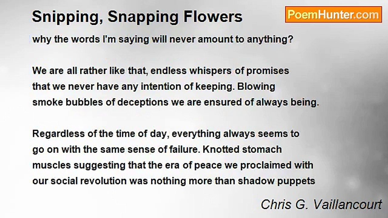 Chris G. Vaillancourt - Snipping, Snapping Flowers
