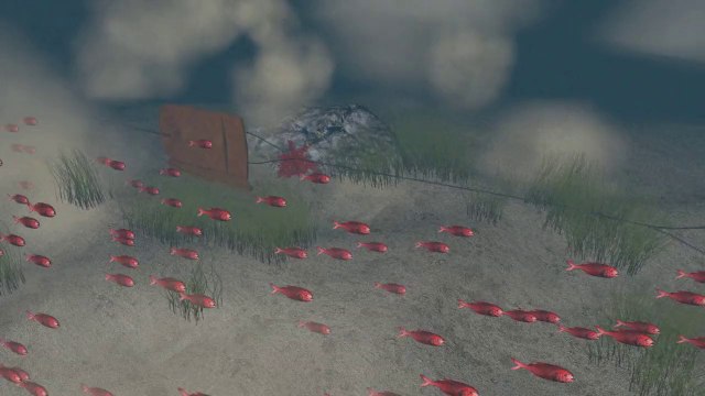 La pêche en eaux profondes