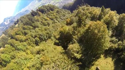 Wingsuit proximity flight through trees