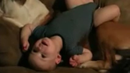 Patient dog lets baby climb all over him!