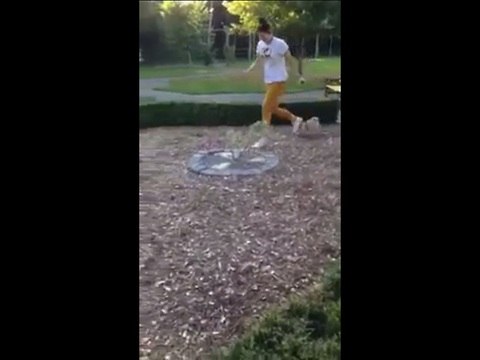 Puppy adorably fails jump over hedge