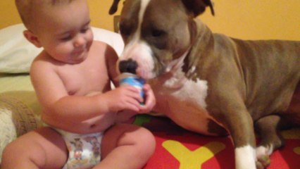 Baby helps family dog eat yogurt