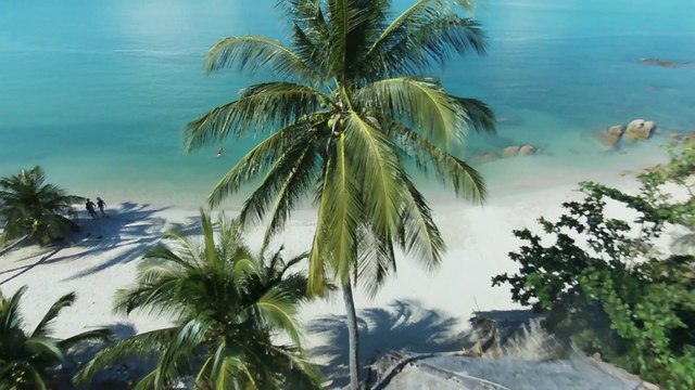 Pourquoi le nouveau drone Bebop de Parrot a tout pour plaire