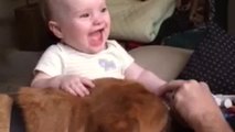 Dog makes baby laugh hysterically