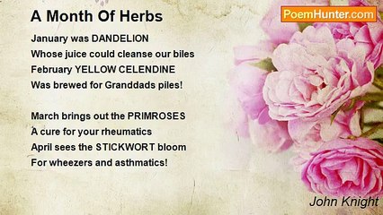 John Knight - A Month Of Herbs