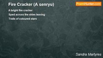 Sandra Martyres - Fire Cracker (A senryu)