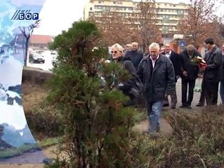 Vesti na vlaškom jeziku, 11. novembar 2014. (RTV Bor)