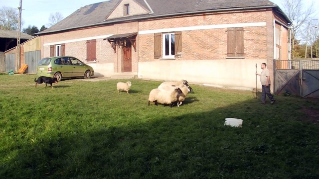 PB110003 Gadji avec ses brebis !!!!