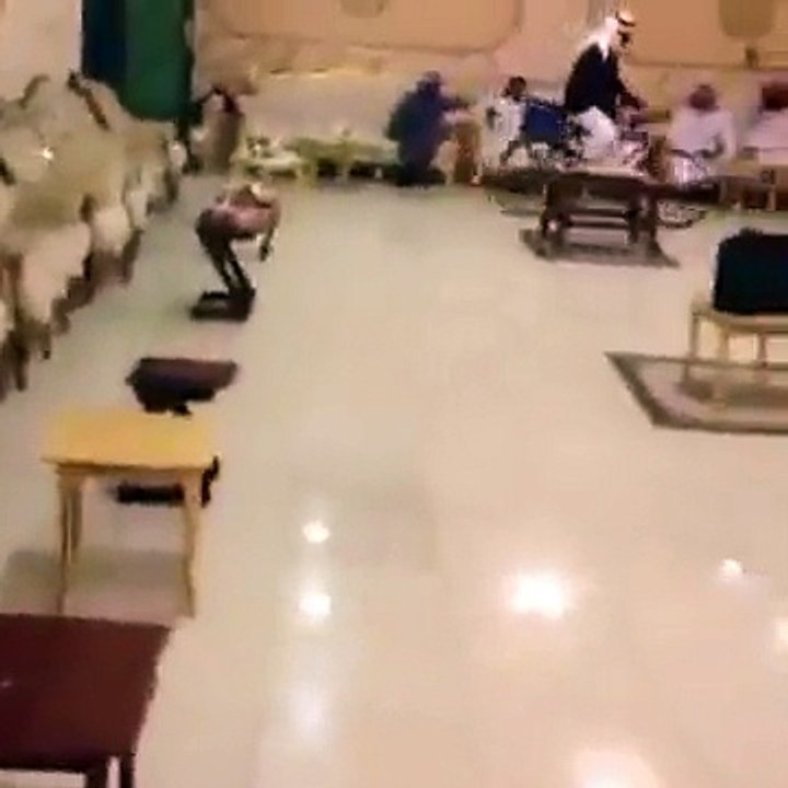 هههه