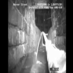 Alien caught on tape in sewers