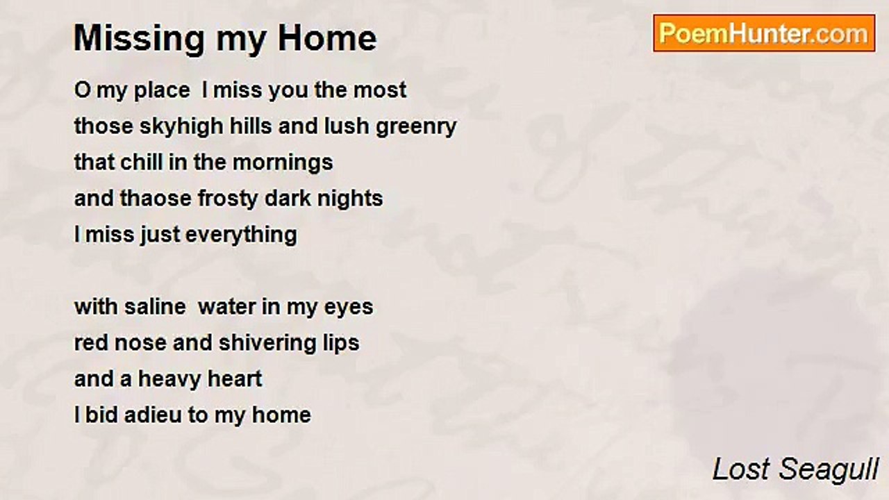 Lost Seagull - Missing my Home