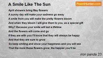 iron panda 23 - A Smile Like The Sun