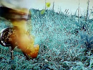 «Убийственный каблук» демонстрируют в музее Нью-Йорка