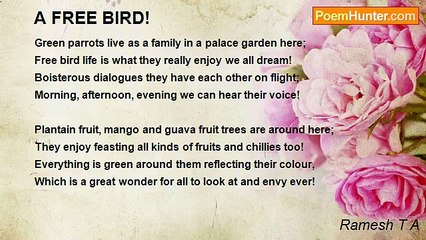 Ramesh T A - A FREE BIRD!