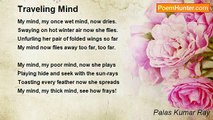 Palas Kumar Ray - Traveling Mind