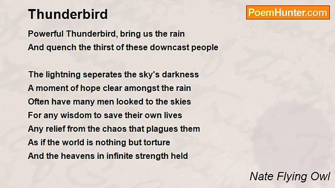 Nate Flying Owl - Thunderbird