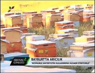 Bal Arıcılığı - Gümüşhane ve Bayburt Arıcıları, Bayburt Balı- 2. Bölüm