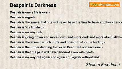 Shalom Freedman - Despair Is Darkness