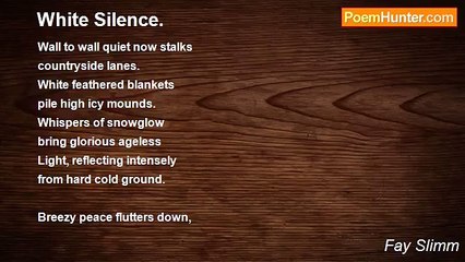 Fay Slimm - White Silence.