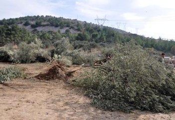 Termik Santrali Projesinde Danıştay Kararının Gerekçesi Belli Oldu
