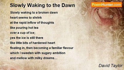 David Taylor - Slowly Waking to the Dawn