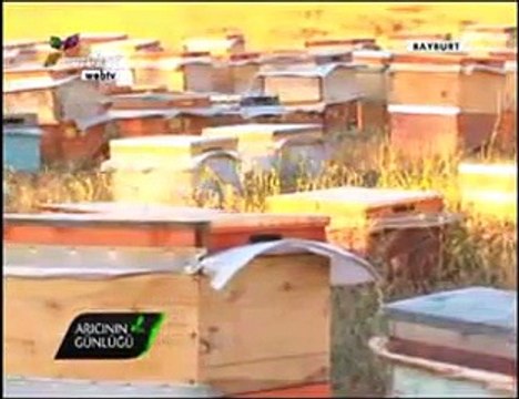 Bal Arıcılığı - Gümüşhane ve Bayburt Arıcıları, Bayburt Balı- 3. Bölüm