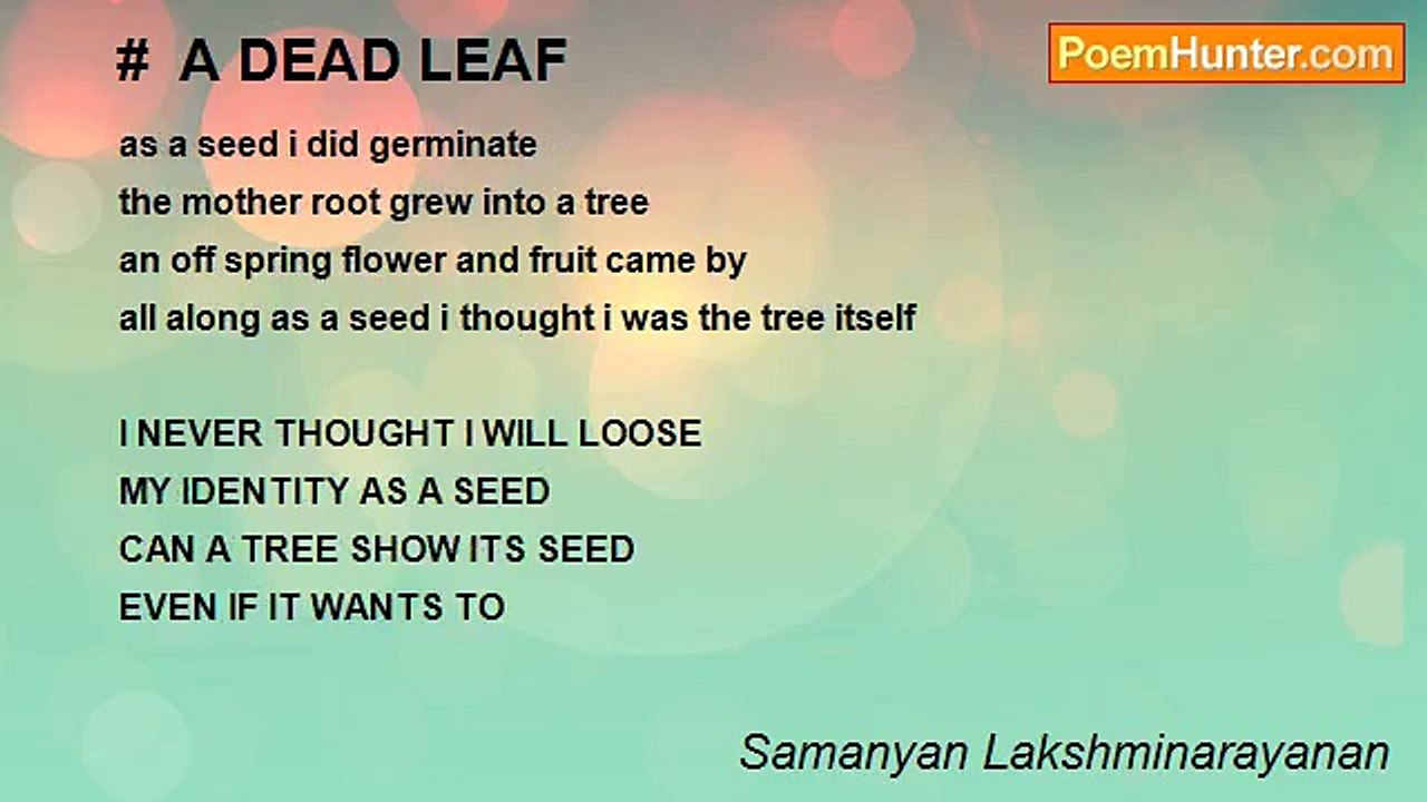 Samanyan Lakshminarayanan - #  A DEAD LEAF
