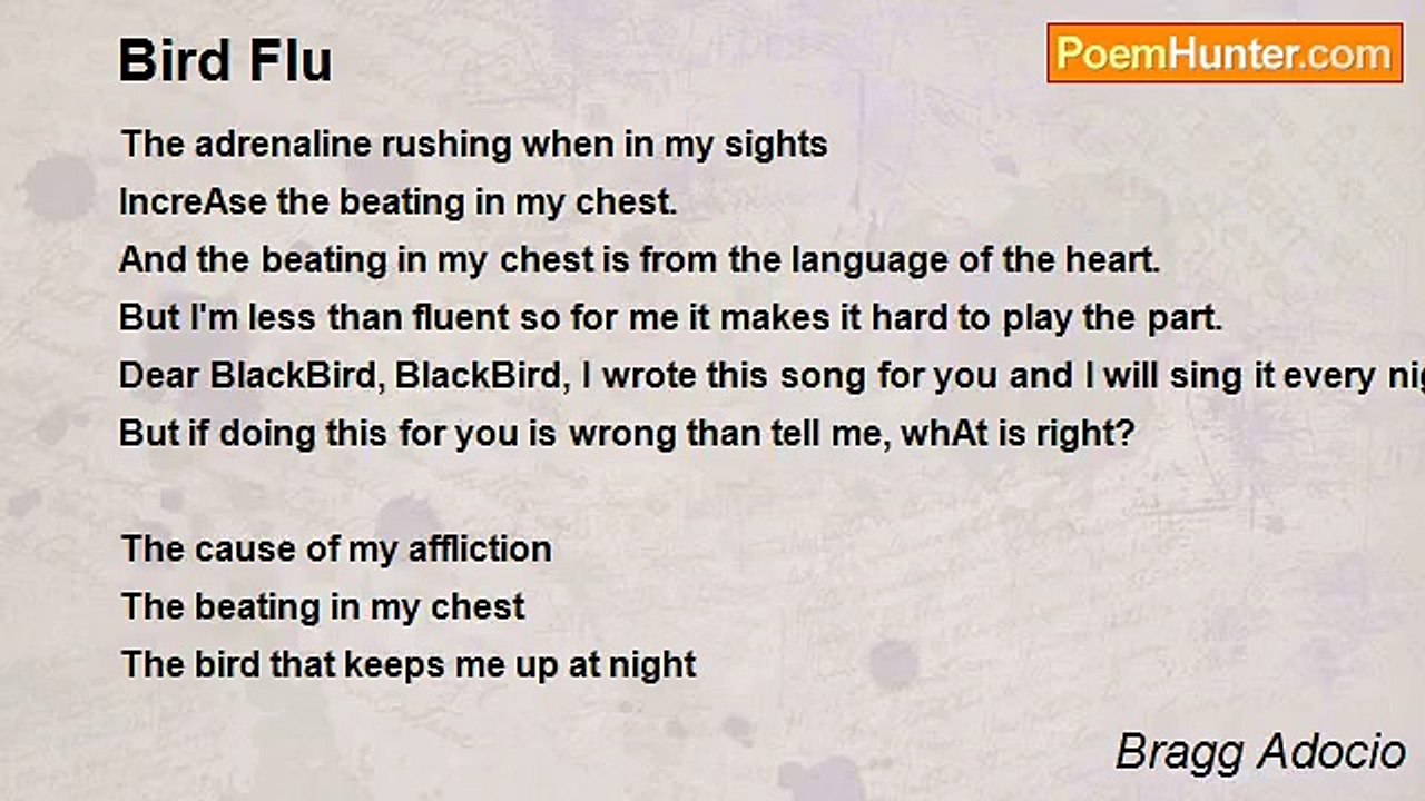 Bragg Adocio - Bird Flu