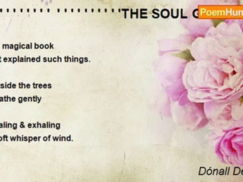 Dónall Dempsey - ' ' ' ' ' ' ' ' ' '  ' ' ' ' ' ' ' ' ' 'THE SOUL GOES FOR A STROLL(for Scarlett)