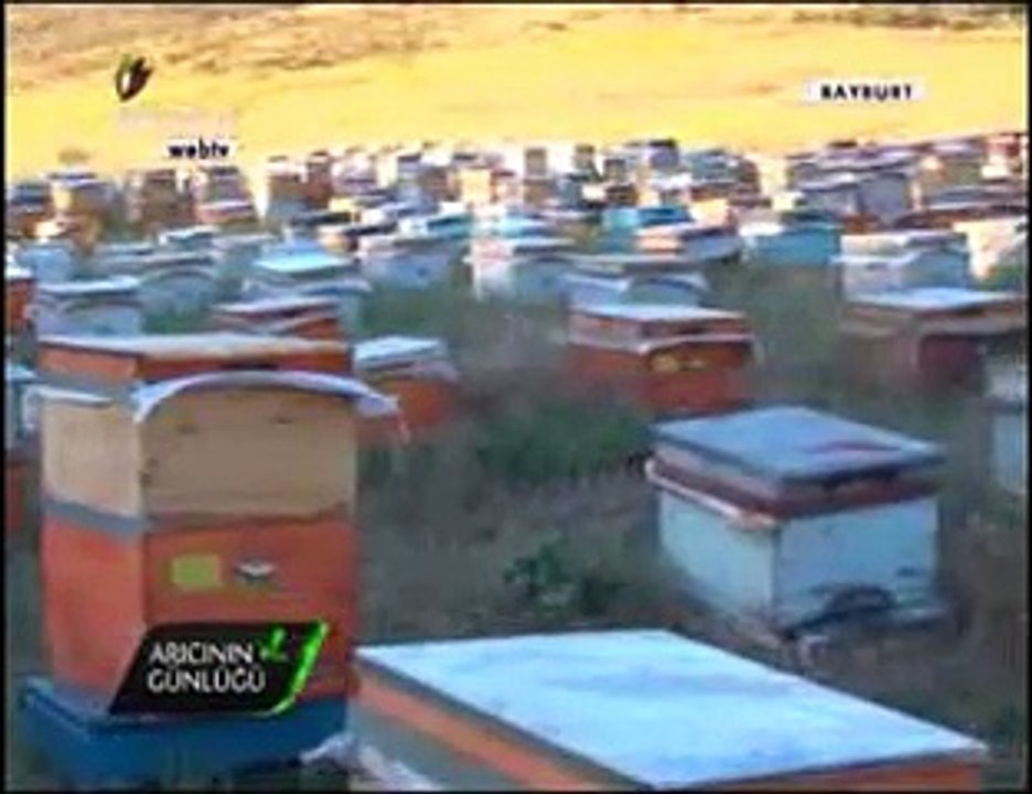 Bal Arıcılığı - Gümüşhane ve Bayburt Arıcıları, Bayburt Balı- 4. Bölüm