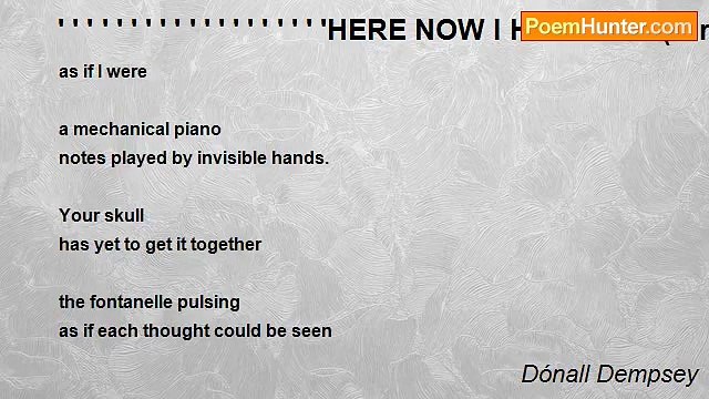 Dónall Dempsey - ' ' ' ' ' ' ' ' ' ' ' ' ' ' ' ' ' ' 'HERE NOW I HOLD YOU(for Scarlett)