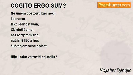 Vojislav Djindjic - COGITO ERGO SUM?