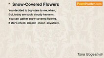 Tsira Gogeshvili - *  Snow-Covered Flowers