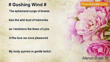Marvin Brato Sr - # Gushing Wind #