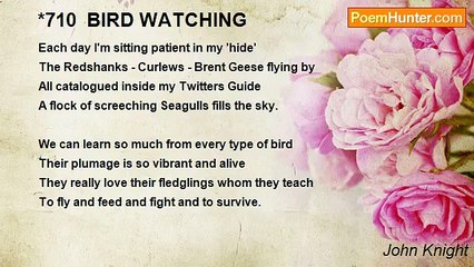 John Knight - *710  BIRD WATCHING