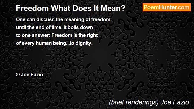 (brief renderings) Joe Fazio - Freedom What Does It Mean?