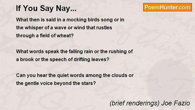 (brief renderings) Joe Fazio - If You Say Nay...