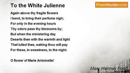 Mary Hannay Foott - To the White Julienne