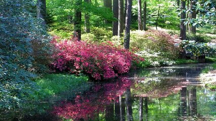 Jardins fabuleux - Betwee (PP)