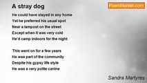 Sandra Martyres - A stray dog
