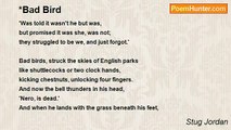 Stug Jordan - *Bad Bird
