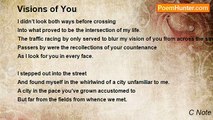 C Note - Visions of You